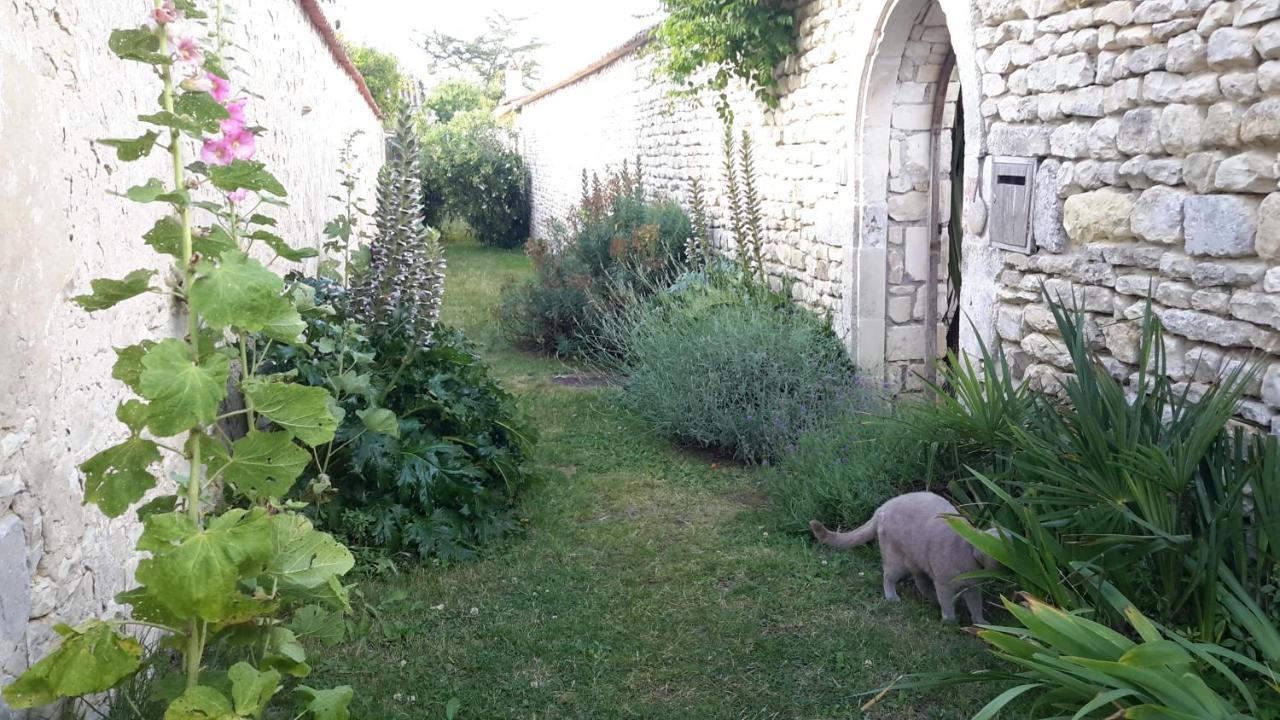 Bed and Breakfast Les Jardins De Clerjotte Saint-Martin-de-Ré Zewnętrze zdjęcie